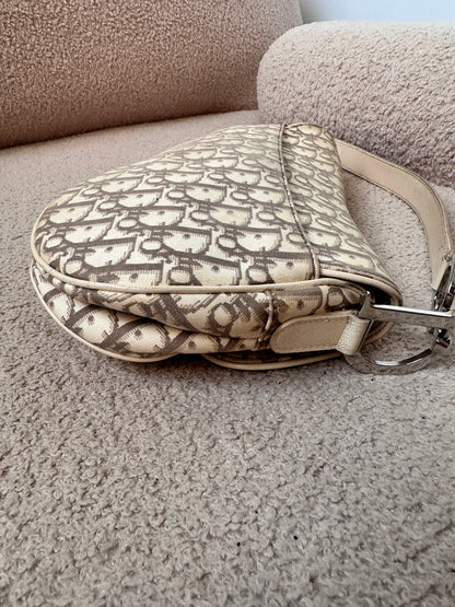 Dior 2005 John Galliano Vintage Embroidery Flower Trotter Saddle Bag