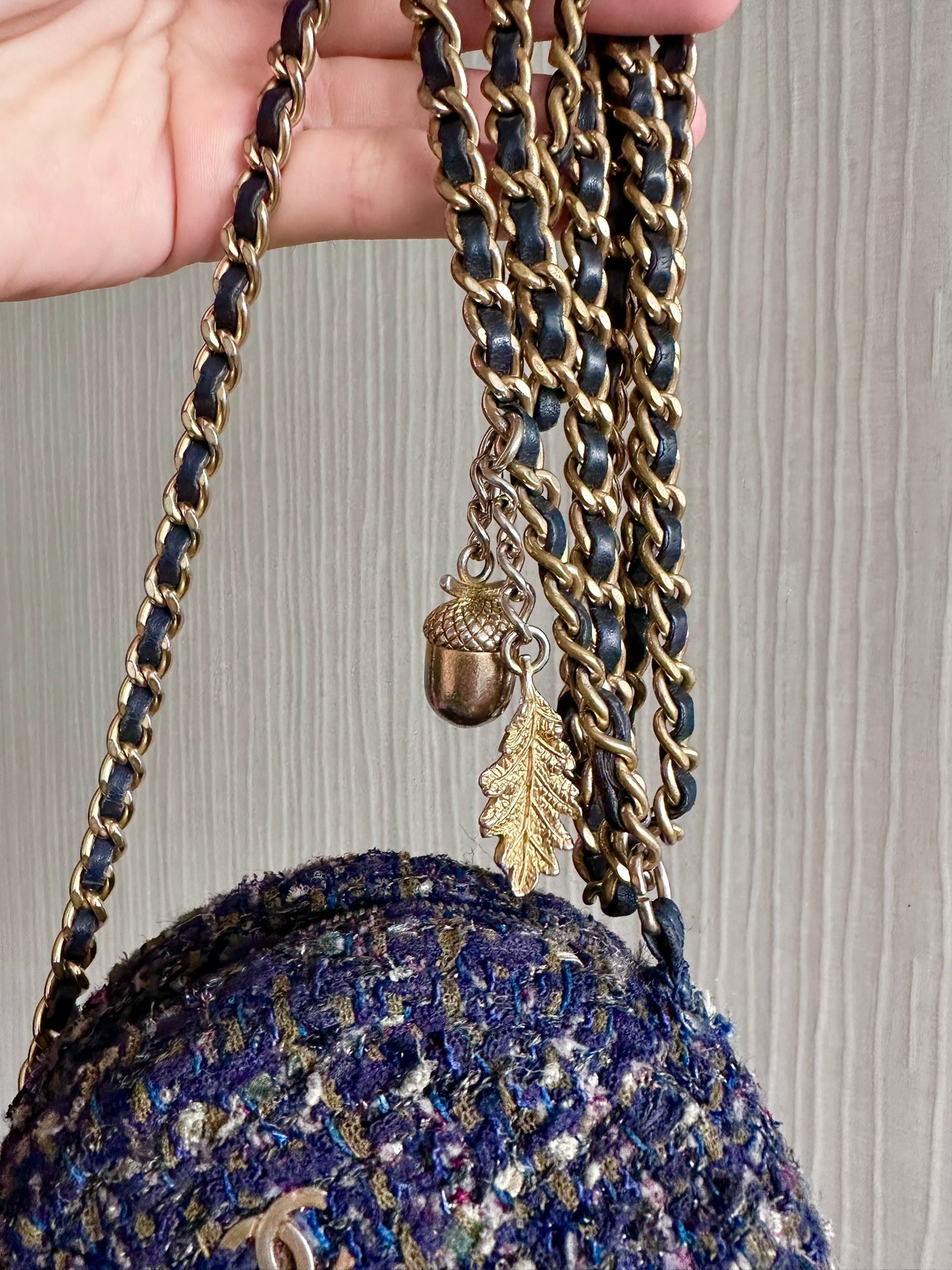 Chanel Autumn Limited Edition Round Tweed Sling Bag