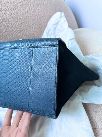 Celine Navy Python Trapeze Bag