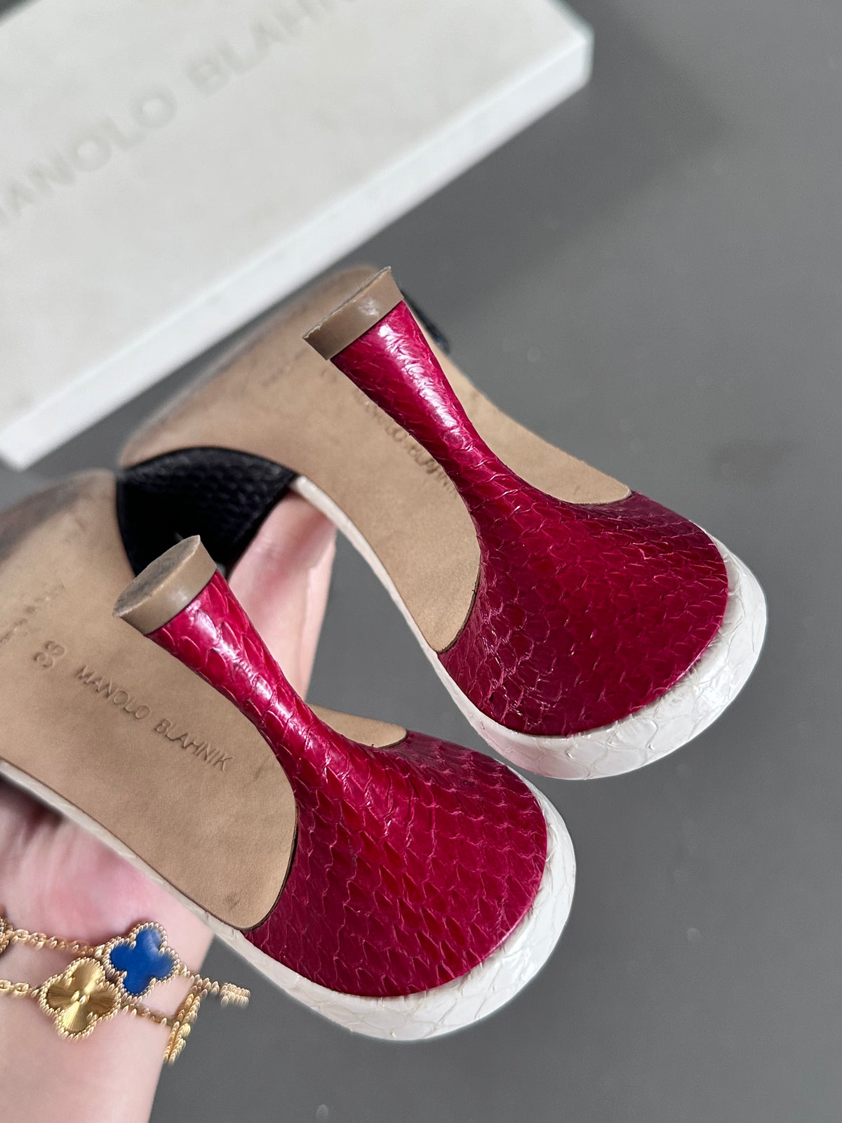 Manolo Blahnik Python Jada 70 Mules Heels