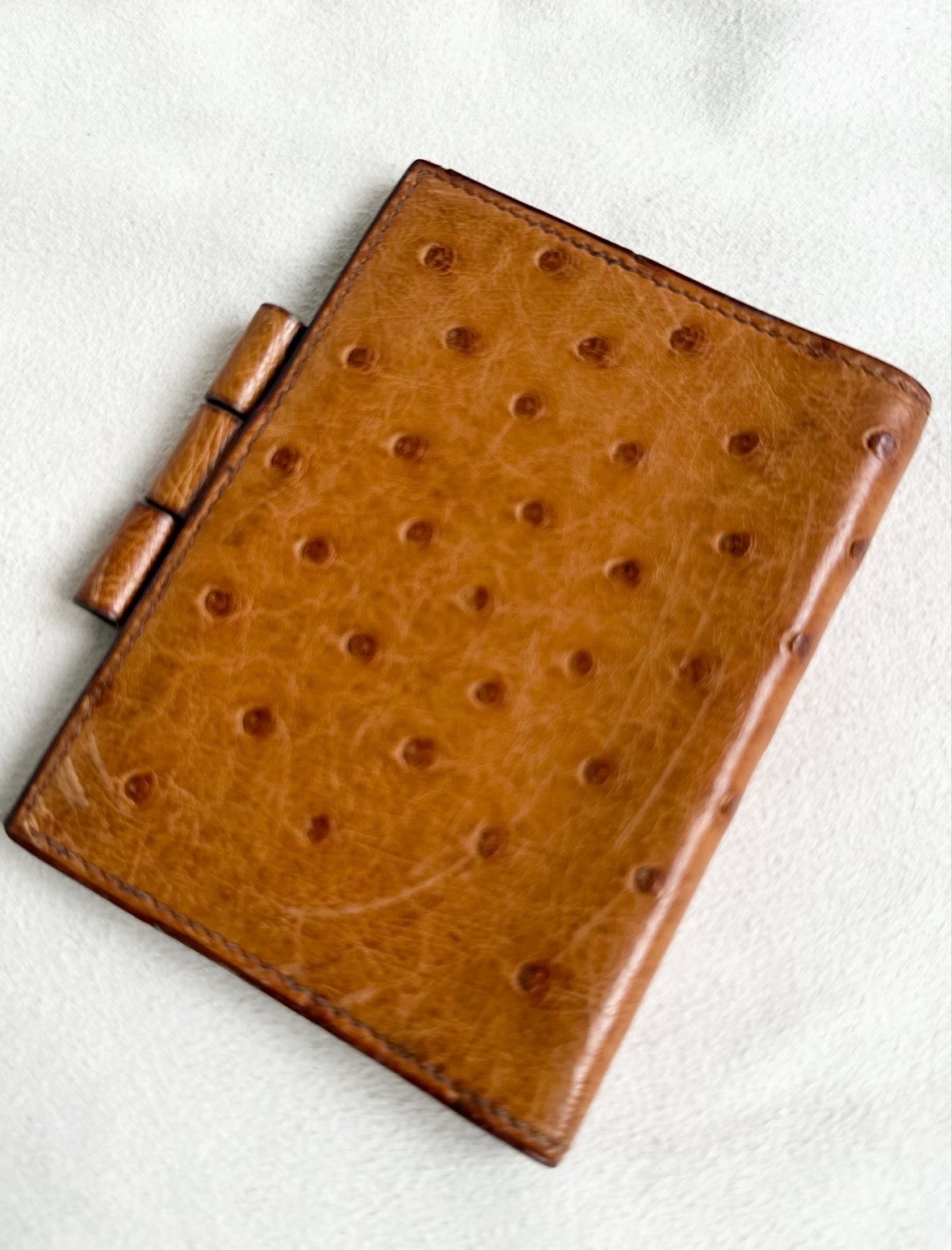 Hermes Exotic Ostrich Leather Mini Agenda Notebook Card Holder Case