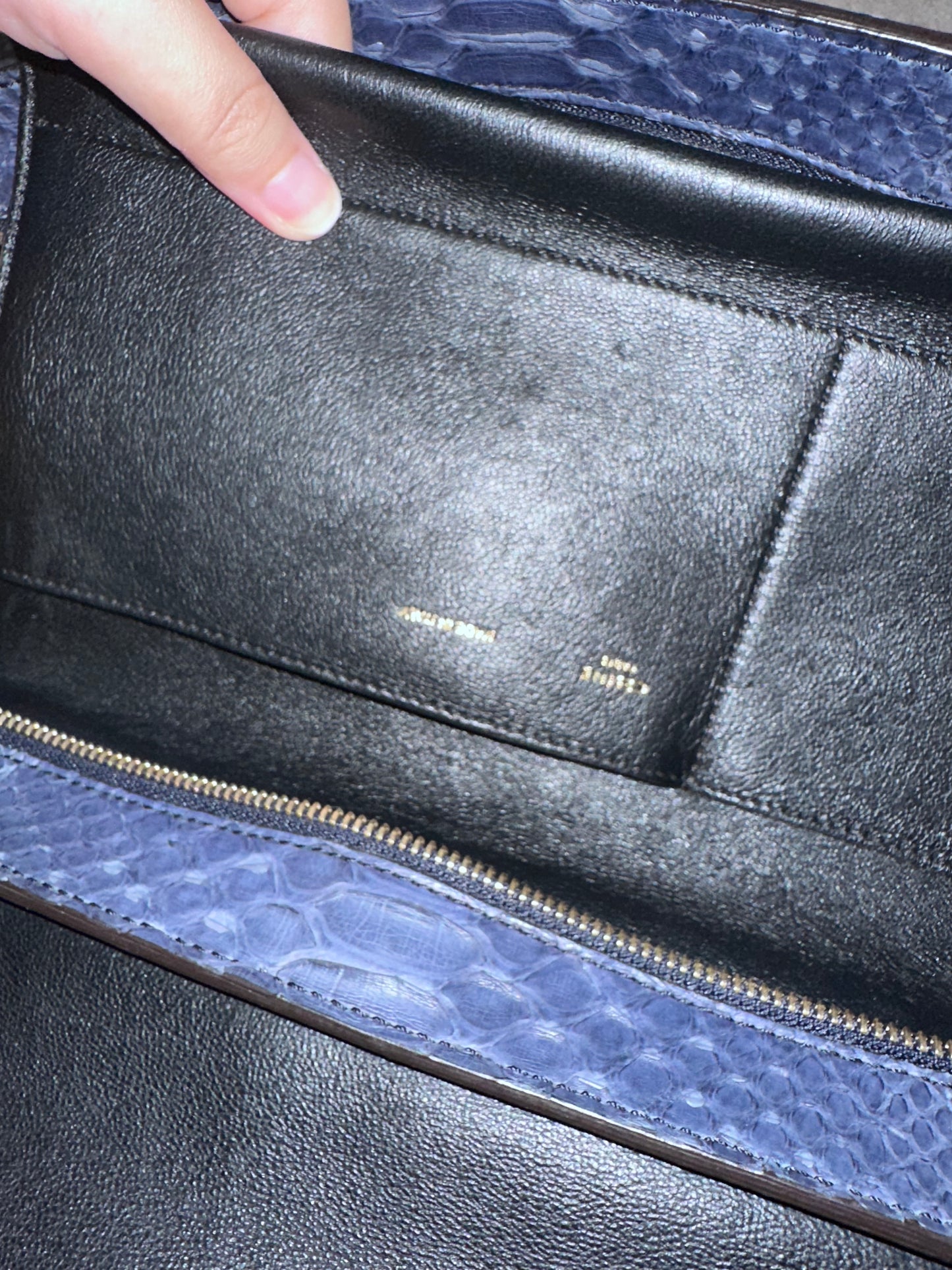 Celine Navy Python Trapeze Bag