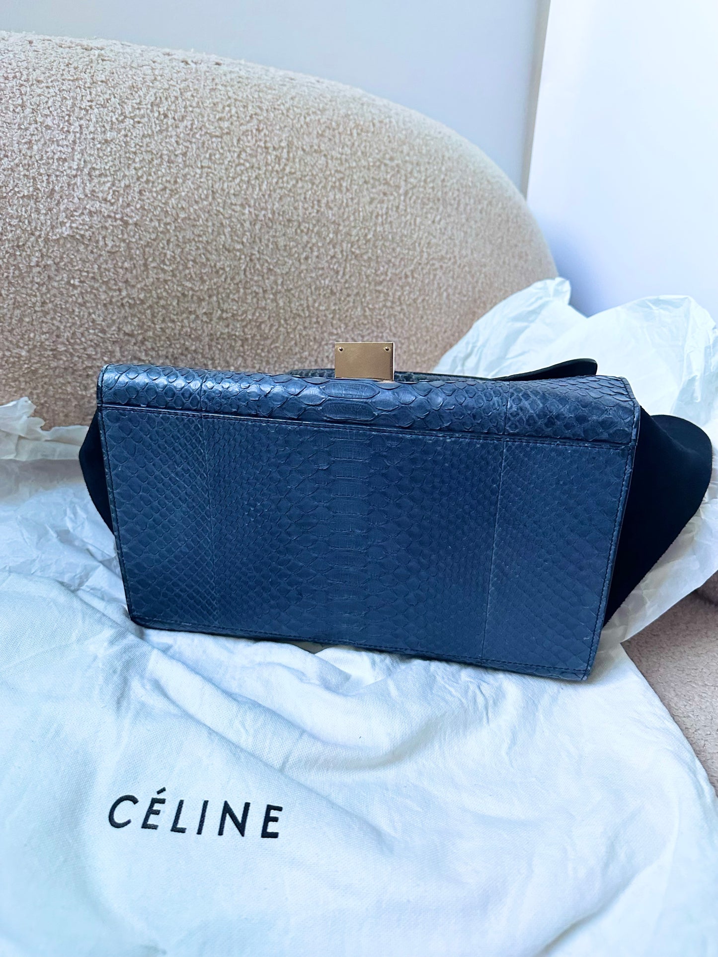 Celine Navy Python Trapeze Bag