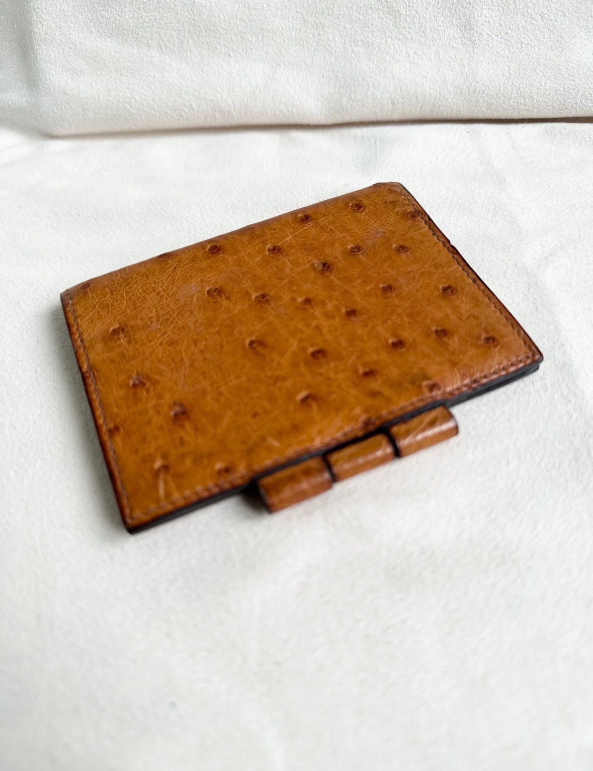 Hermes Exotic Ostrich Leather Mini Agenda Notebook Card Holder Case