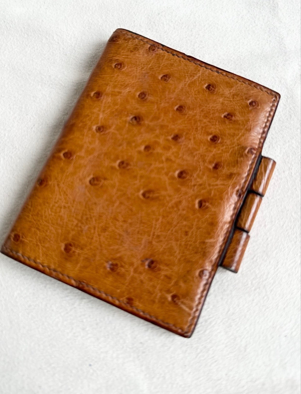 Hermes Exotic Ostrich Leather Mini Agenda Notebook Card Holder Case